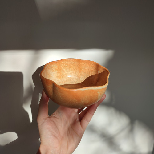 Miska krásenka — foto 5