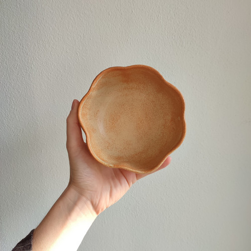 Miska krásenka — foto 3