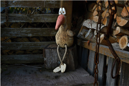 Čáp — foto 2