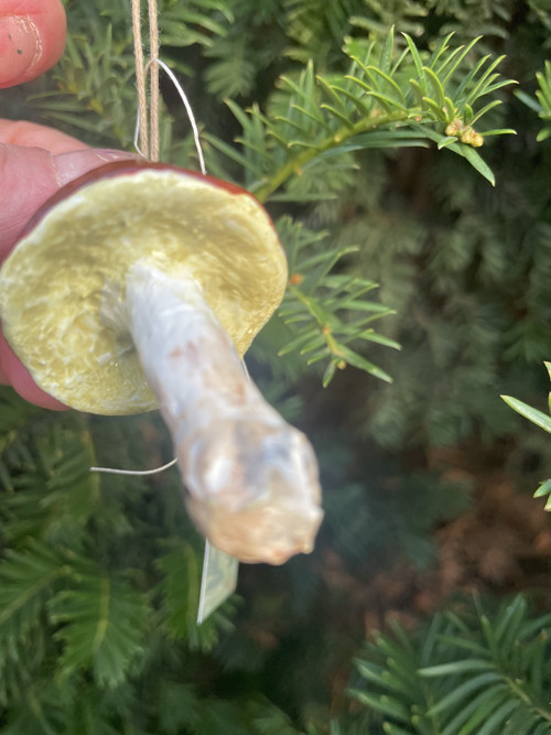 Lesní kouzlo – maličký hříbeček — foto 3