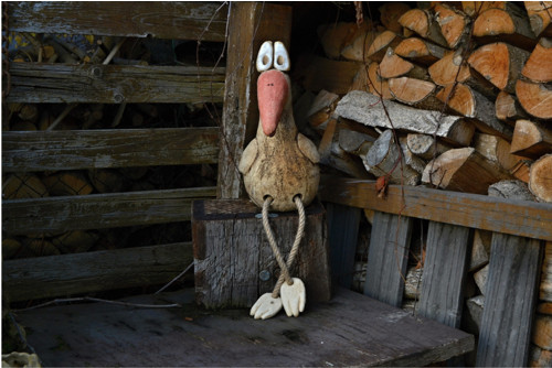 Čáp — foto 3