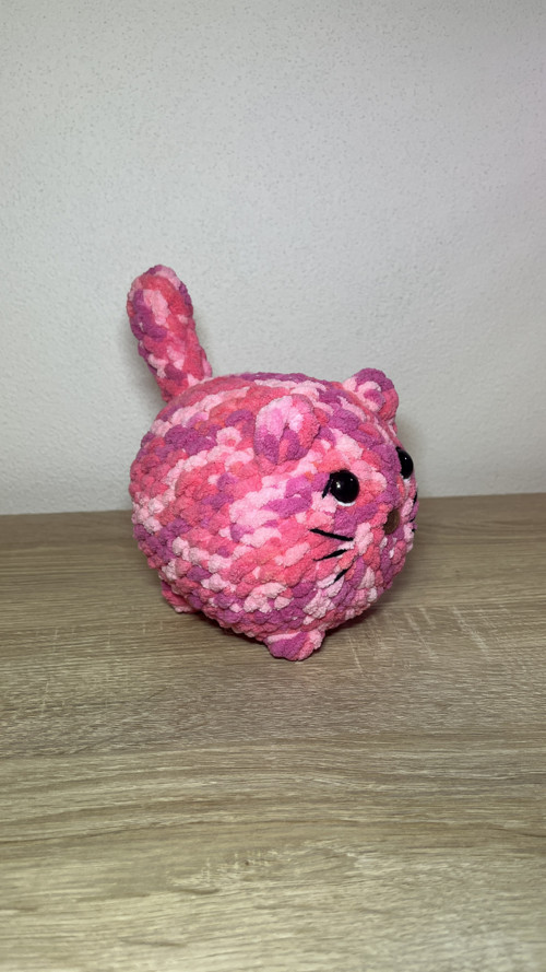 Růžová kočička — foto 2