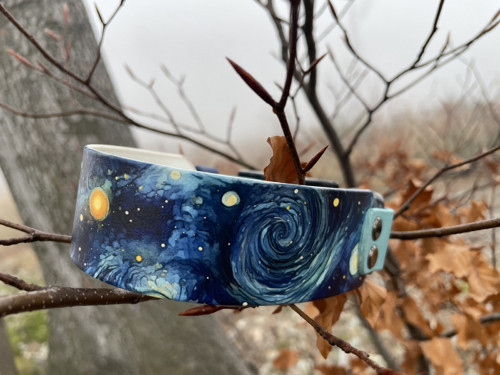 Biothane obojek - Van Gogh — foto 6