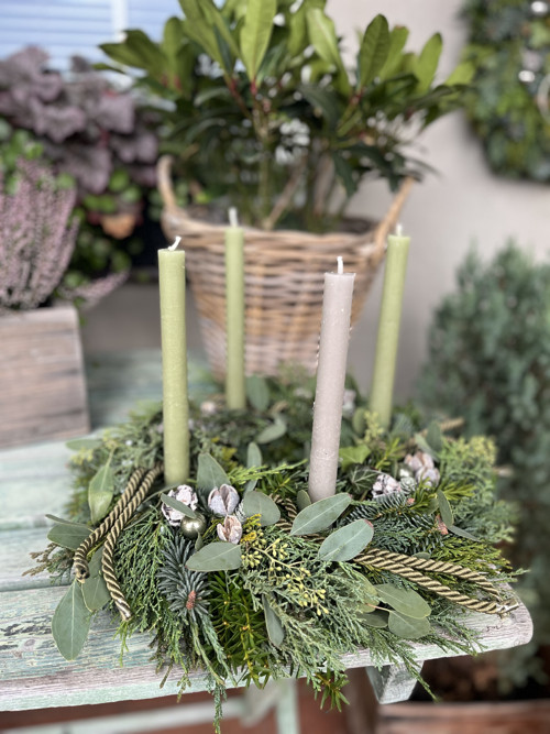 Adventní věnec zelenkavý — foto 2