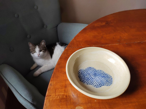 Miska Mrak — foto 2