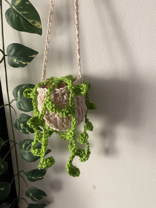 Háčkovaná závěsná rostlina — foto 2