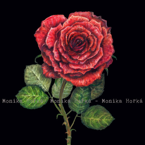 Náhrdelník "A Rose By Other Name..." No.7 — foto 5