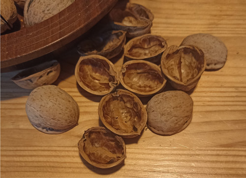 Materiál Skořápky, nebo věneček — foto 2