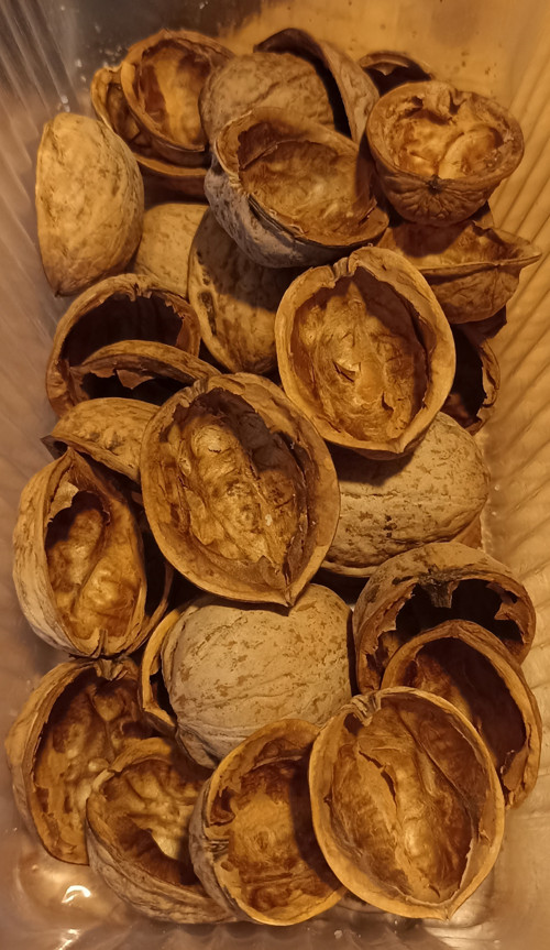 Materiál Skořápky, nebo věneček — foto 3