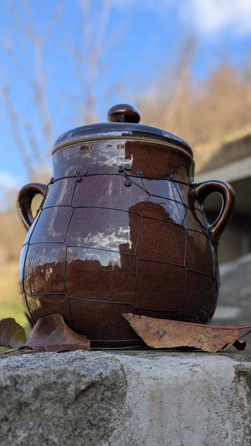 Odrátovaný sádlák — foto 3