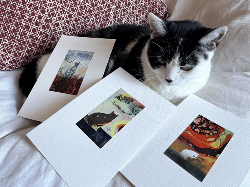Třikrát kočka a jeden anděl — foto 5