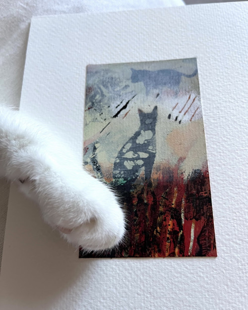 Třikrát kočka a jeden anděl — foto 4