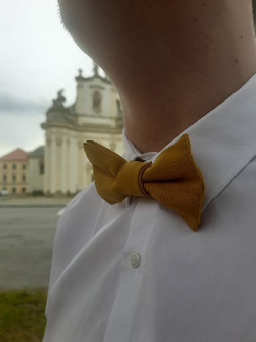 Pánský žlutý motýlek — foto 5
