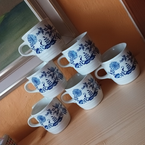 Sada šesti cibuláků — foto 2