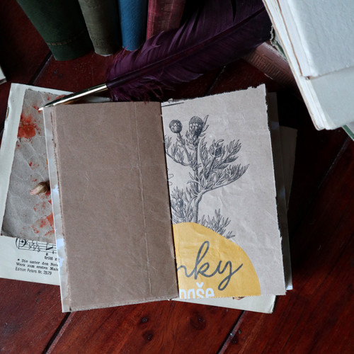 Recydeníky — foto 3