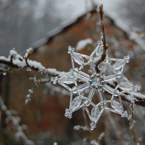 Hvězdy ledově stříbrné — foto 3