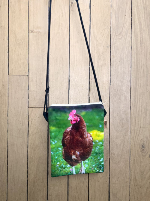 Messenger MINI Hnědá slepička — foto 2