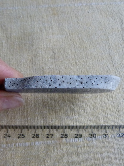 Korál modrý přírodní - 8,2 cm - Extra! — foto 6