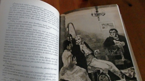Paní Bovaryová — foto 3
