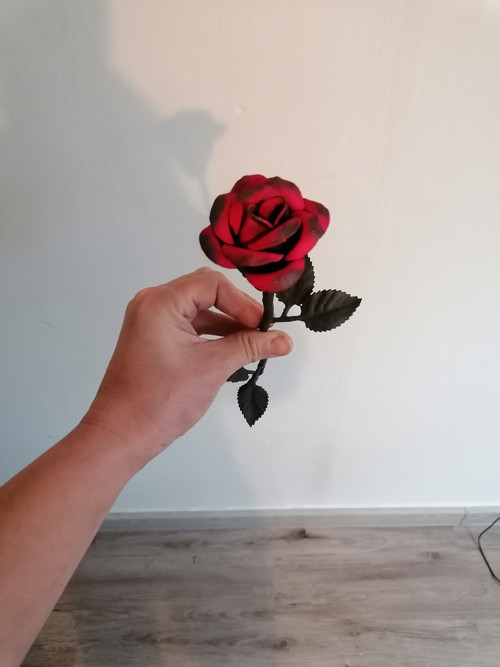Růže kovaná — foto 5