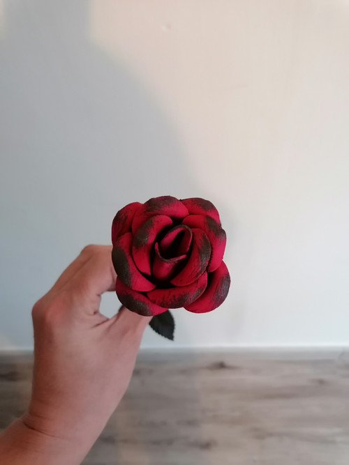 Růže kovaná — foto 3