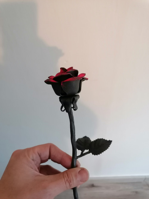 Růže kovaná — foto 4