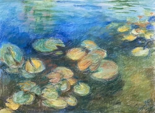 Lekníny, pastel — foto 2