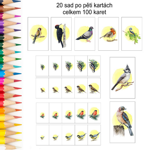 Řazení podle velikosti PTÁČCI v PDF — foto 2
