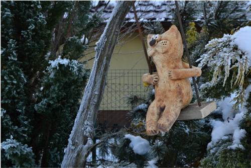 Kocour na houpačce — foto 3