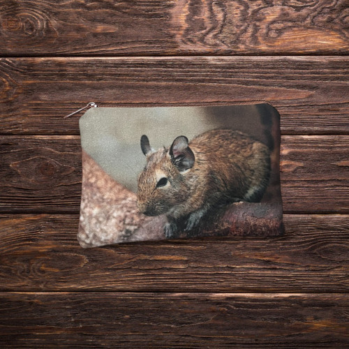 Kapsička MALÁ Osmák degu — foto 2