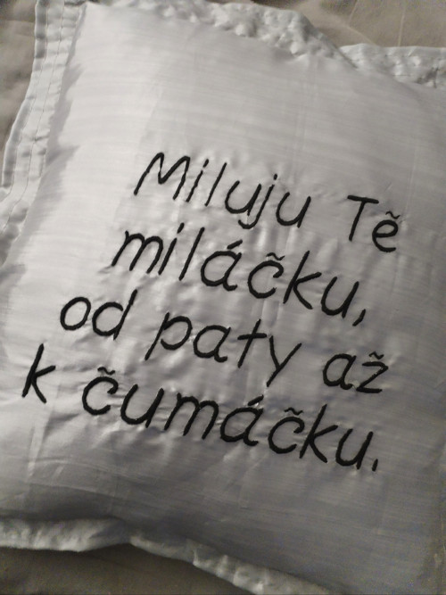 Polštářek pro miláčka — foto 3