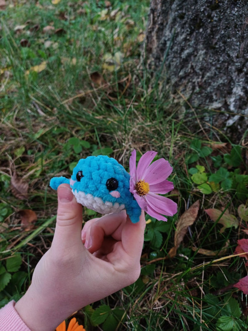 Mini velryba — foto 3
