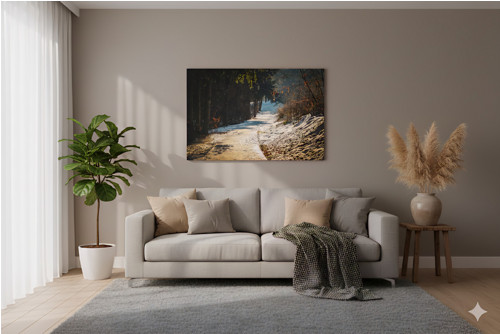 Zimní stezka: Cesta lesem — foto 2