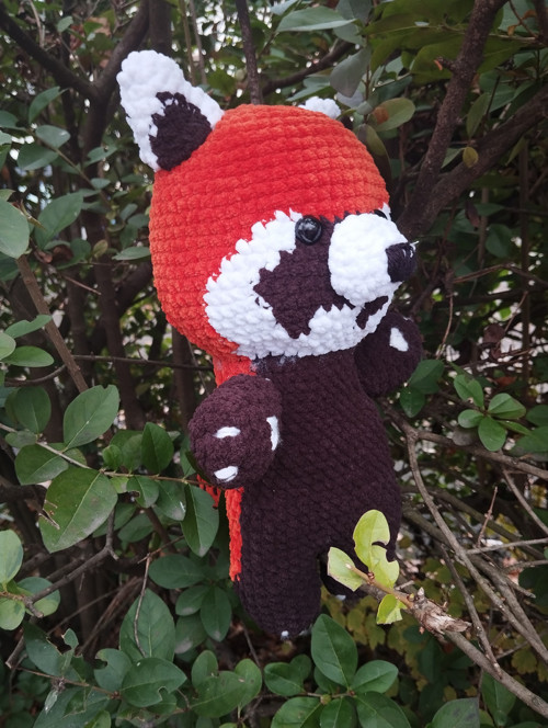 Panda červená — foto 3