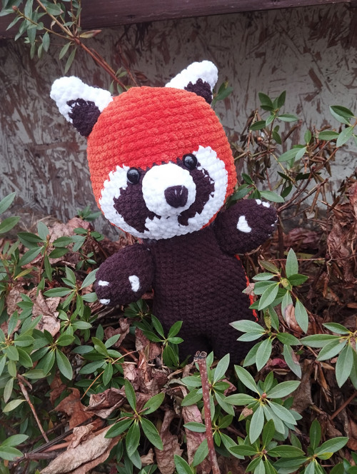 Panda červená — foto 2