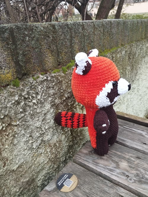Panda červená — foto 4