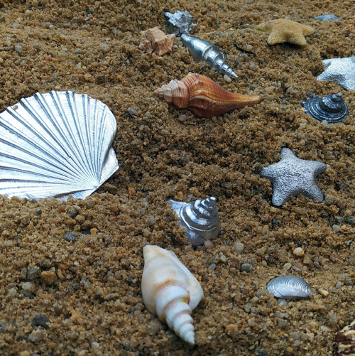 Cínová Hřebenatka Jakubská — foto 2