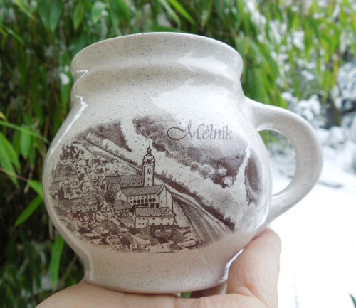 Soutok Labe s Vltavou — foto 5