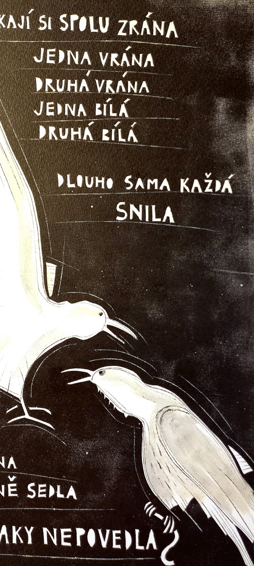 Bílé vrány — foto 2