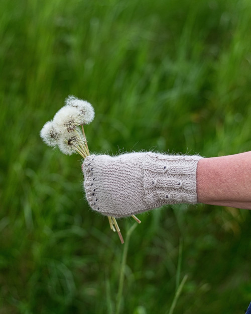 Crème de la Crème ... alpaca — foto 3