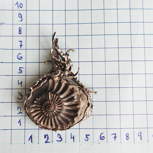 Amonit — foto 3