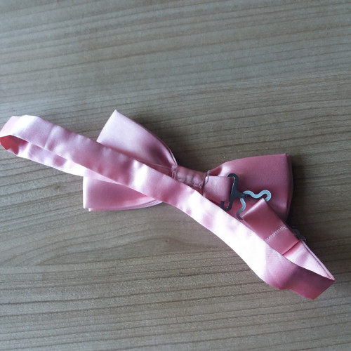 Motýlek saténový — foto 3