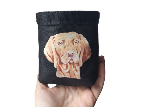 Pamlskovník Vizsla — foto 2