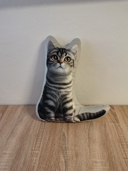 Whiskas kočka - 3D polštář — foto 2