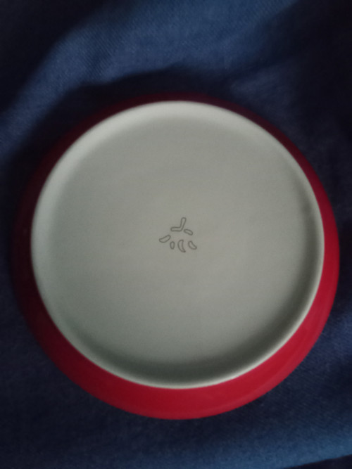 Julius Meinl šálek — foto 3