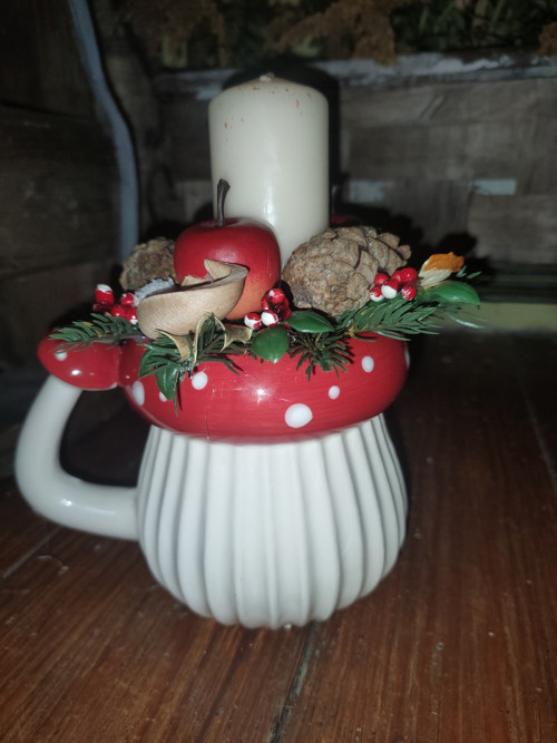 Svícen Muchomůrka staročech — foto 3