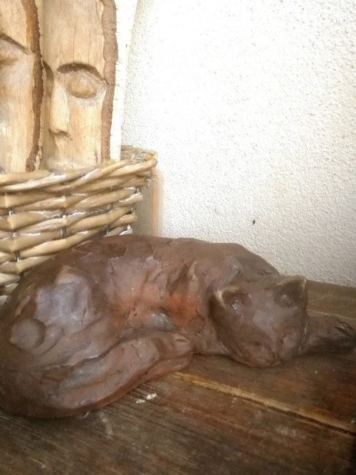 Kočička tmavá — foto 4
