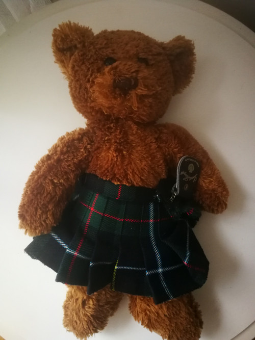 Medvídek Teddy in tartan — foto 4