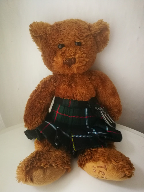 Medvídek Teddy in tartan — foto 6