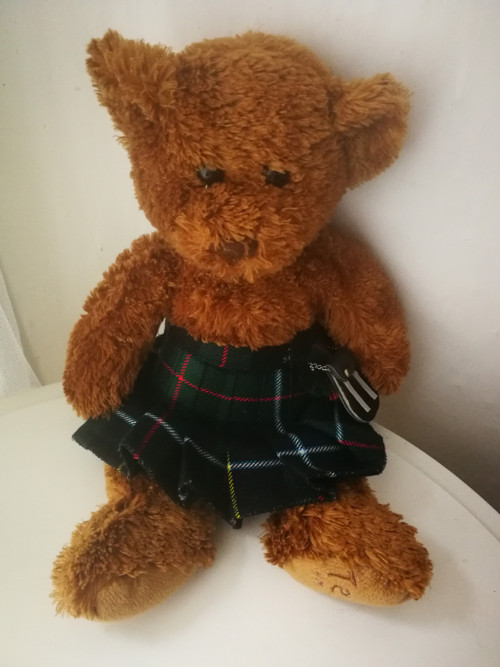 Medvídek Teddy in tartan — foto 2